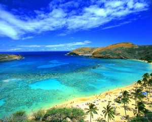 hawaii-beach-water1.jpg